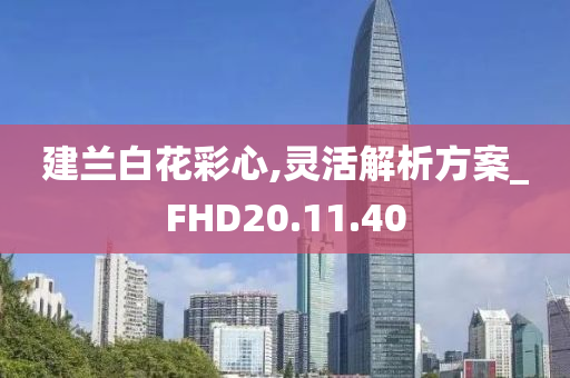 建兰白花彩心,灵活解析方案_FHD20.11.40