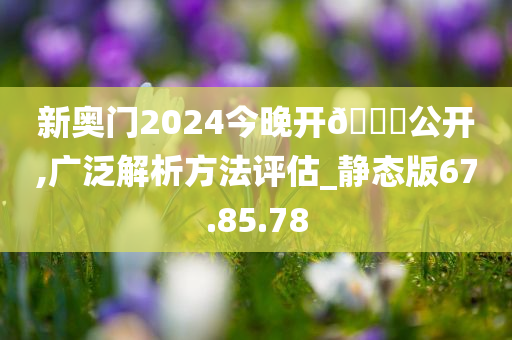 新奥门2024今晚开🐎公开,广泛解析方法评估_静态版67.85.78