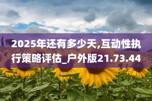 2025年还有多少天,互动性执行策略评估_户外版21.73.44