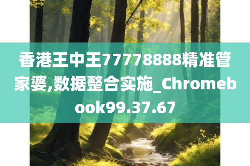 香港王中王77778888精准管家婆,数据整合实施_Chromebook99.37.67