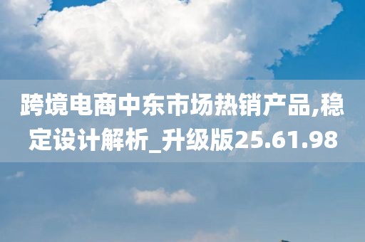 跨境电商中东市场热销产品,稳定设计解析_升级版25.61.98