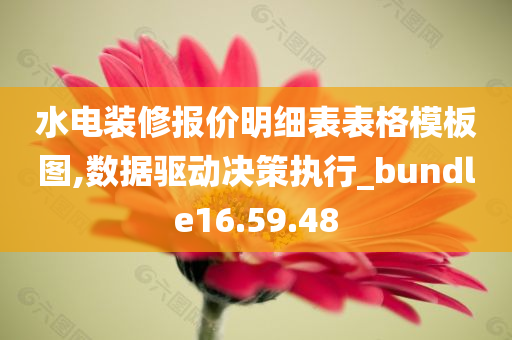 水电装修报价明细表表格模板图,数据驱动决策执行_bundle16.59.48