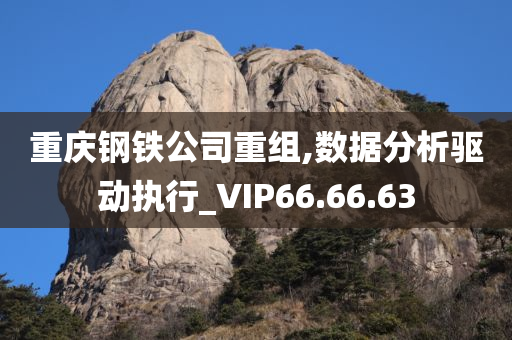 重庆钢铁公司重组,数据分析驱动执行_VIP66.66.63