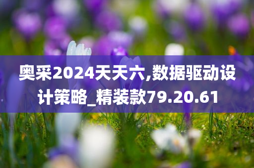 奥采2024天天六,数据驱动设计策略_精装款79.20.61