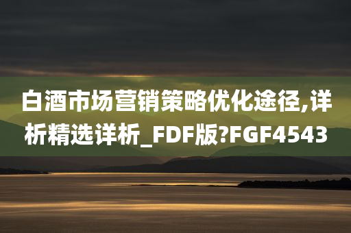 白酒市场营销策略优化途径,详析精选详析_FDF版?FGF4543