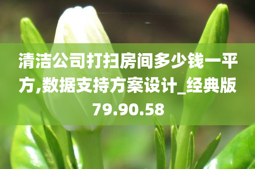 清洁公司打扫房间多少钱一平方,数据支持方案设计_经典版79.90.58