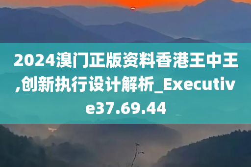 2024溴门正版资料香港王中王,创新执行设计解析_Executive37.69.44