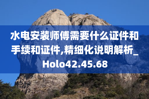 水电安装师傅需要什么证件和手续和证件,精细化说明解析_Holo42.45.68