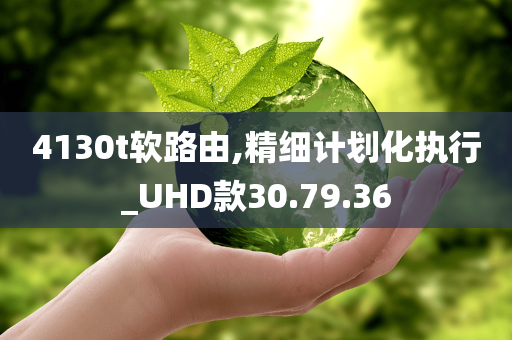 4130t软路由,精细计划化执行_UHD款30.79.36