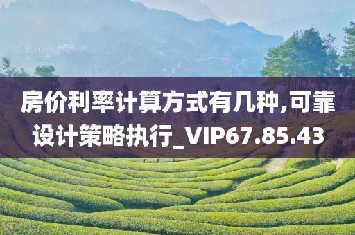 房价利率计算方式有几种,可靠设计策略执行_VIP67.85.43