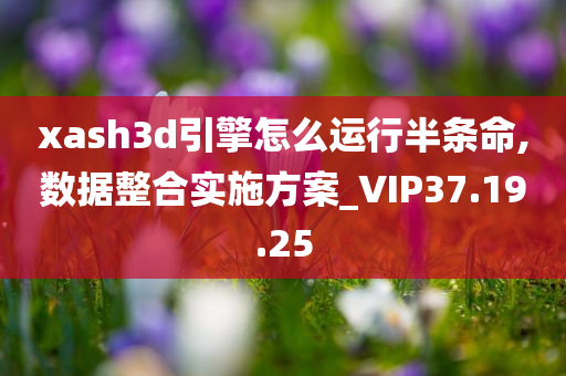 xash3d引擎怎么运行半条命,数据整合实施方案_VIP37.19.25