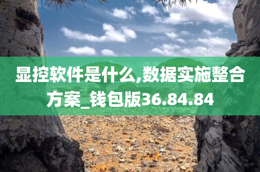 显控软件是什么,数据实施整合方案_钱包版36.84.84