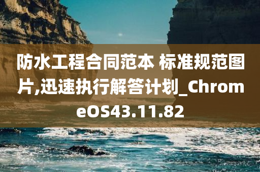 防水工程合同范本 标准规范图片,迅速执行解答计划_ChromeOS43.11.82