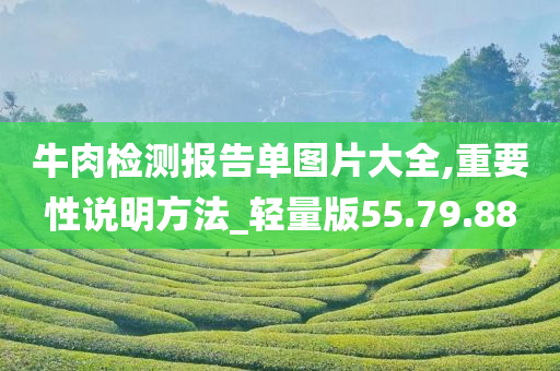 牛肉检测报告单图片大全,重要性说明方法_轻量版55.79.88