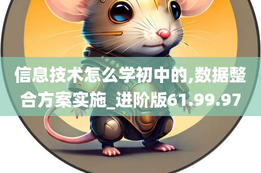 信息技术怎么学初中的,数据整合方案实施_进阶版61.99.97