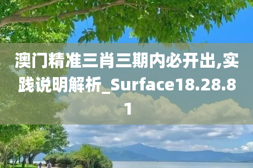 澳门精准三肖三期内必开出,实践说明解析_Surface18.28.81