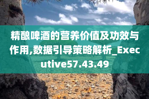 精酿啤酒的营养价值及功效与作用,数据引导策略解析_Executive57.43.49