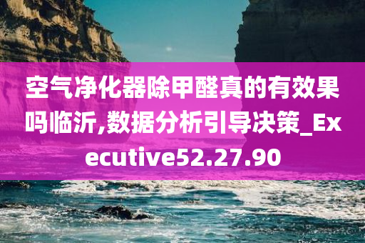 空气净化器除甲醛真的有效果吗临沂,数据分析引导决策_Executive52.27.90