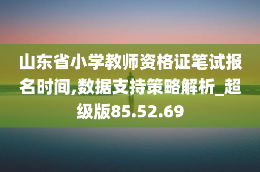 山东省小学教师资格证笔试报名时间,数据支持策略解析_超级版85.52.69