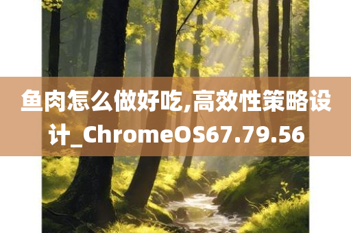 鱼肉怎么做好吃,高效性策略设计_ChromeOS67.79.56