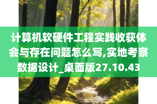 计算机软硬件工程实践收获体会与存在问题怎么写,实地考察数据设计_桌面版27.10.43