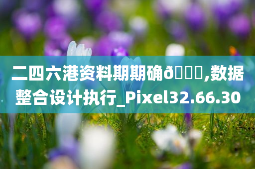 二四六港资料期期确🀄,数据整合设计执行_Pixel32.66.30