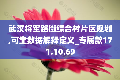 武汉将军路街综合村片区规划,可靠数据解释定义_专属款171.10.69