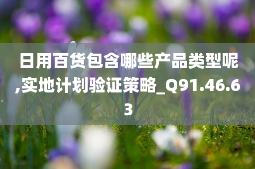 日用百货包含哪些产品类型呢,实地计划验证策略_Q91.46.63