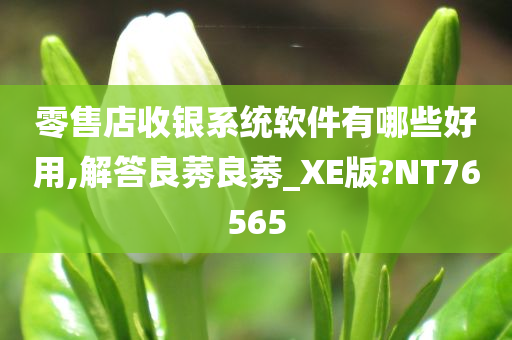 零售店收银系统软件有哪些好用,解答良莠良莠_XE版?NT76565