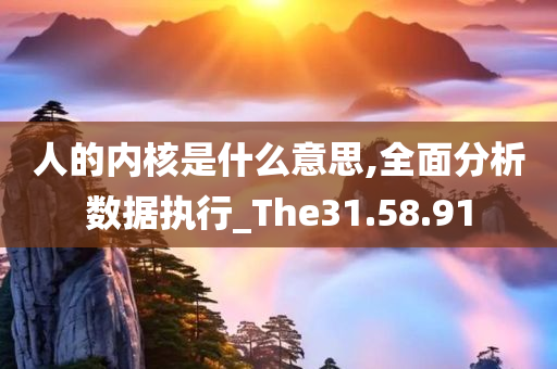 人的内核是什么意思,全面分析数据执行_The31.58.91