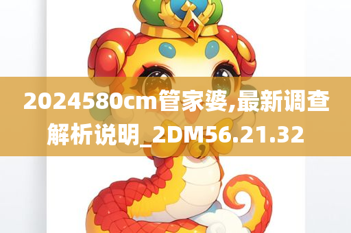 2024580cm管家婆,最新调查解析说明_2DM56.21.32