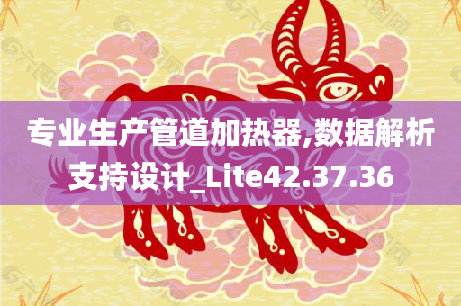 专业生产管道加热器,数据解析支持设计_Lite42.37.36