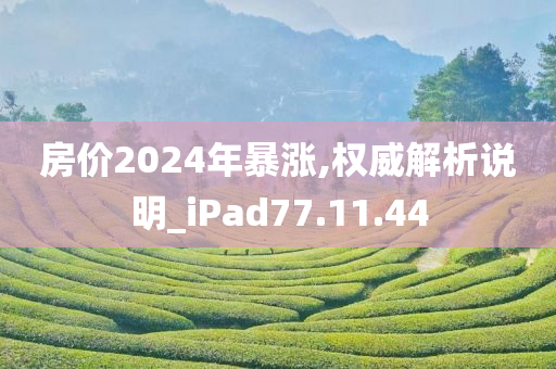 房价2024年暴涨,权威解析说明_iPad77.11.44