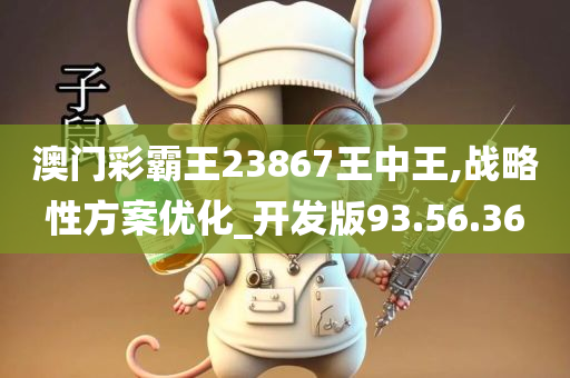 澳门彩霸王23867王中王,战略性方案优化_开发版93.56.36