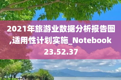 2021年旅游业数据分析报告图,适用性计划实施_Notebook23.52.37