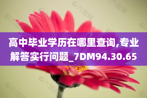 高中毕业学历在哪里查询,专业解答实行问题_7DM94.30.65