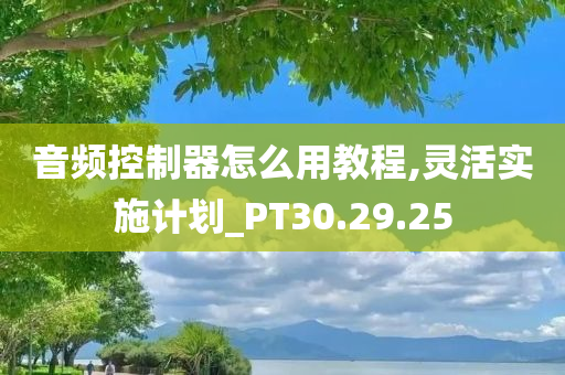 音频控制器怎么用教程,灵活实施计划_PT30.29.25