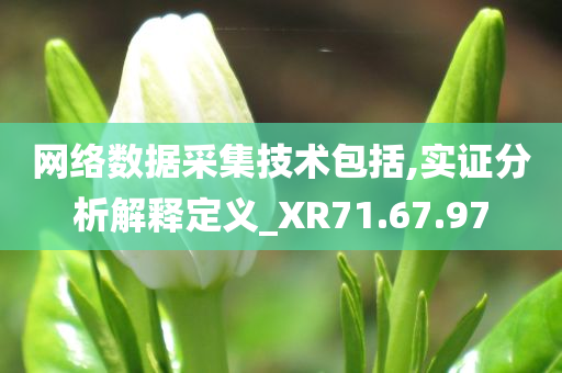 网络数据采集技术包括,实证分析解释定义_XR71.67.97