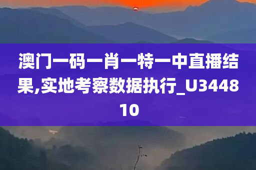 澳门一码一肖一特一中直播结果,实地考察数据执行_U344810