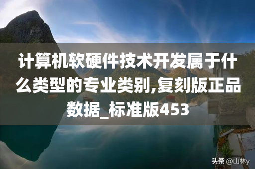 计算机软硬件技术开发属于什么类型的专业类别,复刻版正品数据_标准版453