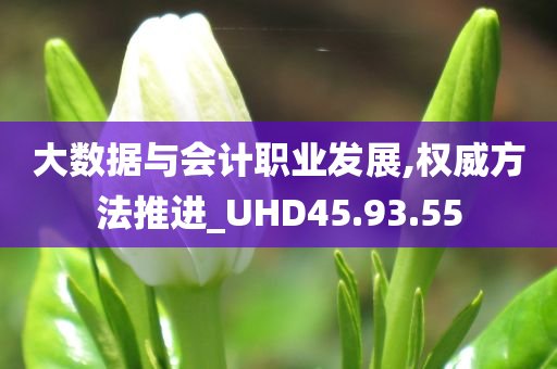 大数据与会计职业发展,权威方法推进_UHD45.93.55