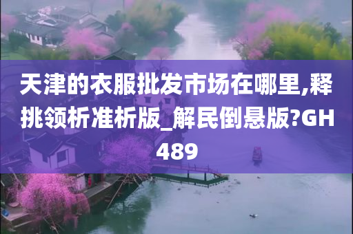 天津的衣服批发市场在哪里,释挑领析准析版_解民倒悬版?GH489