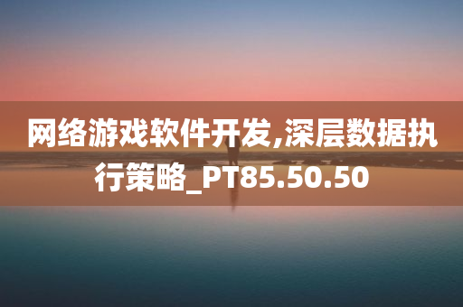 网络游戏软件开发,深层数据执行策略_PT85.50.50