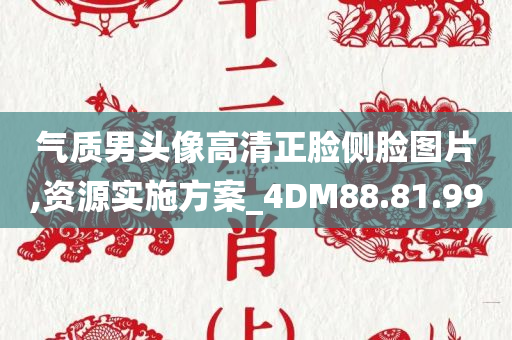 气质男头像高清正脸侧脸图片,资源实施方案_4DM88.81.99