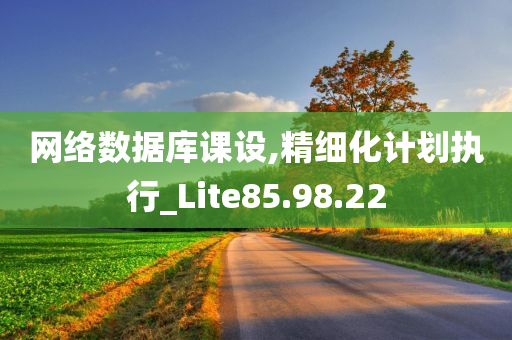 网络数据库课设,精细化计划执行_Lite85.98.22