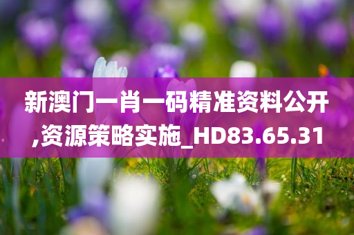 新澳门一肖一码精准资料公开,资源策略实施_HD83.65.31