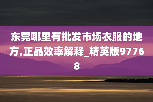 东莞哪里有批发市场衣服的地方,正品效率解释_精英版97768