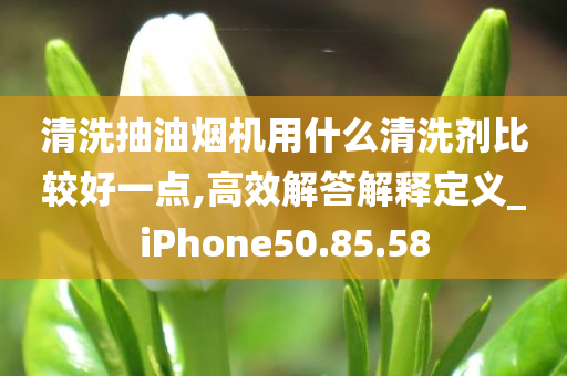 清洗抽油烟机用什么清洗剂比较好一点,高效解答解释定义_iPhone50.85.58