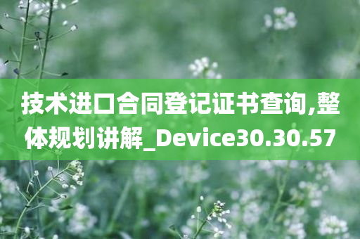 技术进口合同登记证书查询,整体规划讲解_Device30.30.57