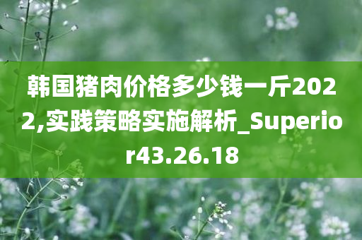 韩国猪肉价格多少钱一斤2022,实践策略实施解析_Superior43.26.18